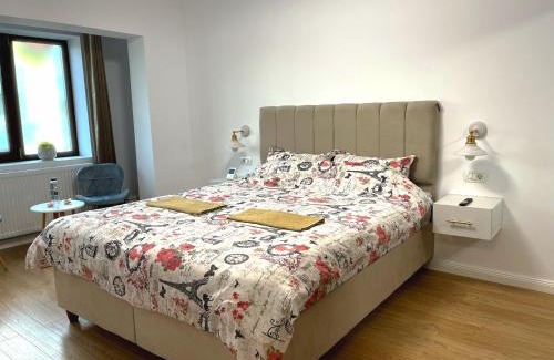 Tirgu Jiu Apartment | Central Residence