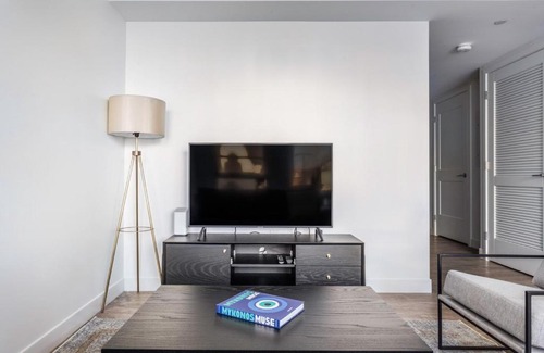 Central Square Apartment | Central Sq 1BR w Gym Doorman Roof BOS-314