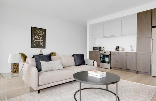 Central Square Apartment | Central Sq 1BR w WD nr Central Sq T BOS-615