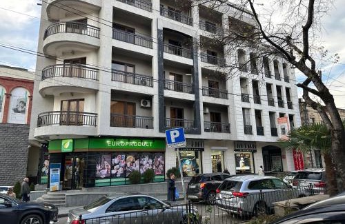 Kutaisi Apartment | central square
