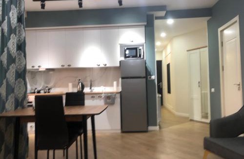 Kutaisi Apartment | central square