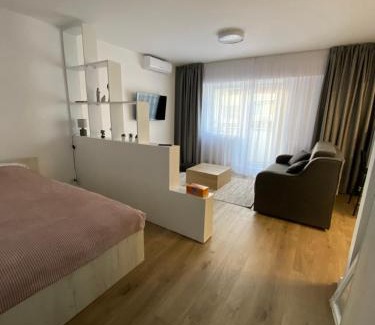 Craiova Apartment | Central Studio Yoko