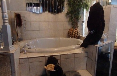 Central West End Bed & Breakfast | Central West End B&B