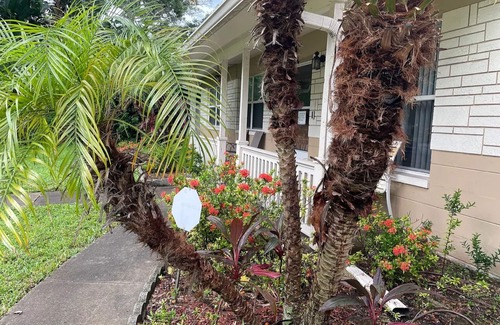 Pinellas Park House | Centrally located cozy, pet-friendly home, quiet, friendly & safe neighborhood