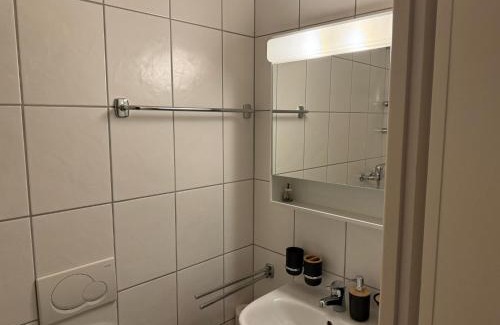 Busserach Apartment | Centre Lausanne avec balcon