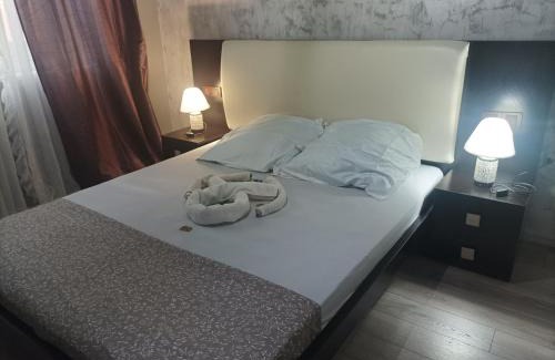Braila Apartment | Centrul Vechi