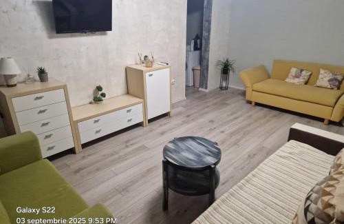 Braila Apartment | Centrul Vechi