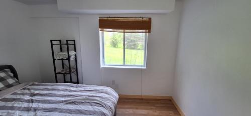 Erin House | Century House on Quarter acre lot