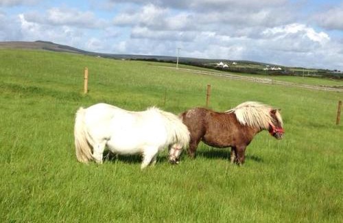 Doolin House | Ceol na dTonnta
