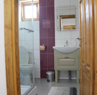 Sfantu Gheorghe House | Cerdacul cu Stuf