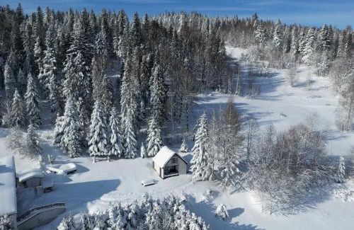 Jelesnia Ski Chalet | Cerla Korbielów - Domek dla Dwojga