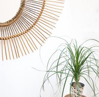 Barra Apartment | Cestaria Costa Nova