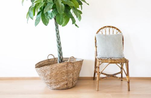 Barra Apartment | Cestaria Costa Nova