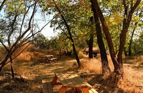 Pinehurst RV Rental | CG21 Small 15X20 ft. Campsite/Shower - Kings Canyon & Sequoia NP