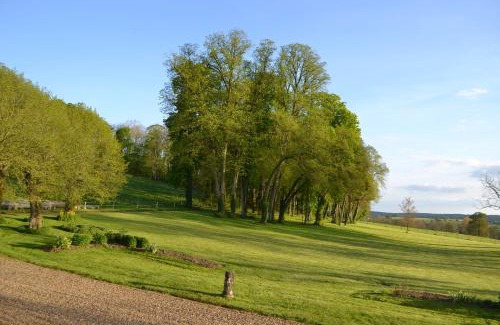 Saint-Jean-aux-Amognes Bed & Breakfast | Château de SURY