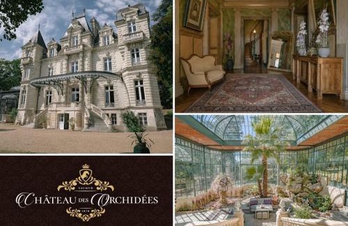 Saint-Hilaire-Saint-Florent Bed & Breakfast | Château des Orchidées en Val de Loire