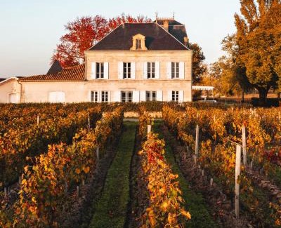 Saint-Emilion Bed & Breakfast | Château Grand Corbin