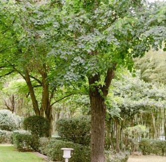 Tornac House | Château La Bruguière