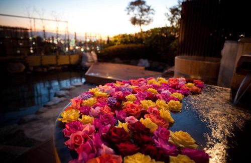 Dogo Hot Spring Hotel | Chaharu