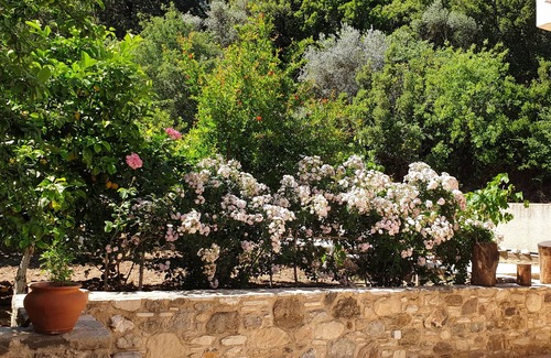 Kos House | Chaihoutes stone House into Olive farm in Zia