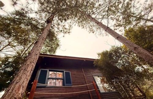Camboriu Ski Chalet | Chalé Matas de Camboriú