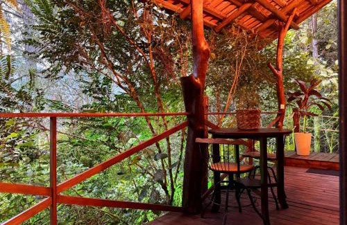 Camboriu Ski Chalet | Chalé Matas de Camboriú