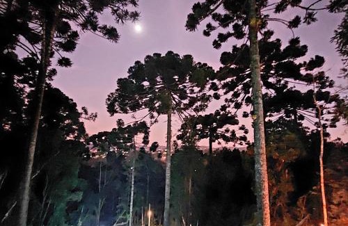 Vila Natal Ski Chalet | Chalé Rústico na Montanha em Campos de Jordão