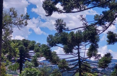 Vila Natal Ski Chalet | Chalé Rústico na Montanha em Campos de Jordão