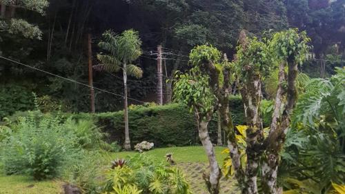 Nova Friburgo House | Chalé Schueler