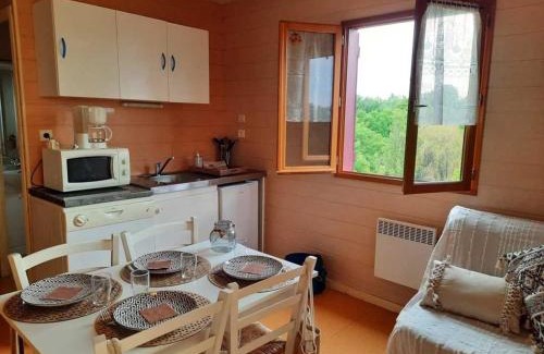 Vieille-Brioude Ski Chalet | Chalet 3 étoiles - Piscine - eeiigg
