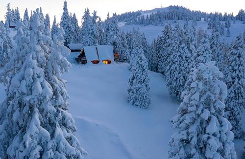 Ambroz pod Krvavcem Ski Chalet | Chalet Alpinka
