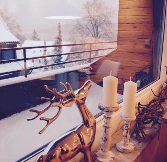 Braunlage Apartment | Chalet am Hasselkopf