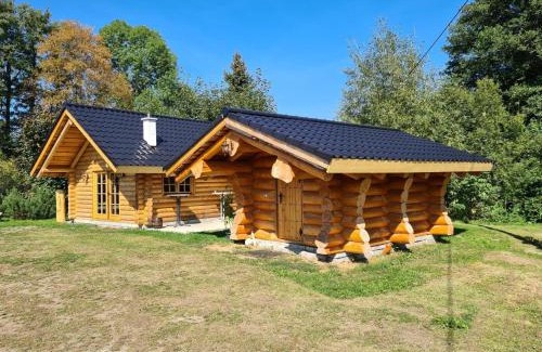 Bad Brambach Ski Chalet | Chalet am See