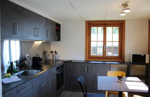 Moleson Ski Chalet | Chalet Antoine 5p