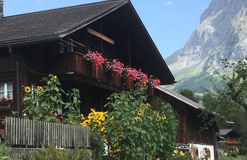 Grindelwald Apartment | Chalet Bärgsicht 1-room apartment for 2 persons