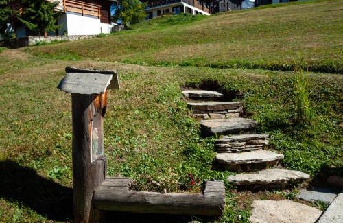 Rosswald Apartment | Chalet Bambi