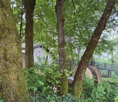 Chiavenna Rocchetta Apartment | Chalet Bosco Magico Roccolo
