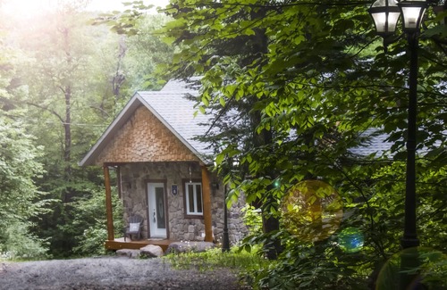 Saint-Faustin-Lac-Carre Ski Chalet | Chalet L'Envolée near Tremblant