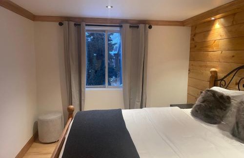 Aspen Apartment | Chalet Chic 2BR plus Queen Sleeper Sofa