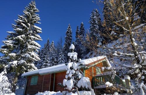 Premanon Ski Chalet | Chalet Daria