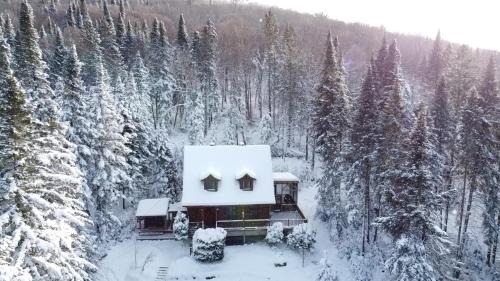 Saint-Faustin-Lac-Carre House | Chalet des Sources SPA Gazebo panoramique
