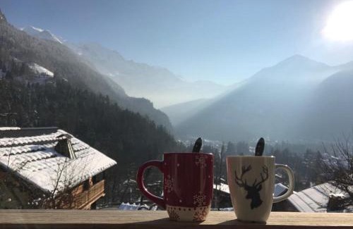 Servoz Ski Chalet | Chalet du grand cerf