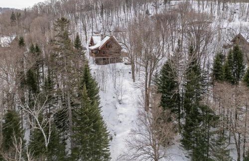 Saint-Faustin-Lac-Carre Villa | Chalet du Lac Rougeaud