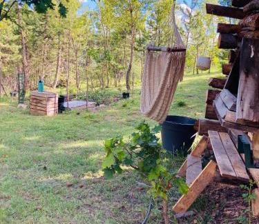 Saint-Apollinaire Apartment | Chalet Forest