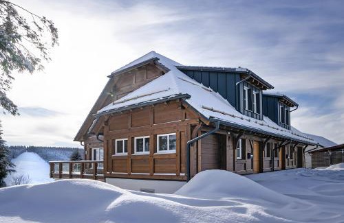 Todtnauberg Apartment | Chalet Foret - Ferienwohnung