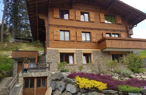 Adelboden Apartment | Chalet Grüneggli