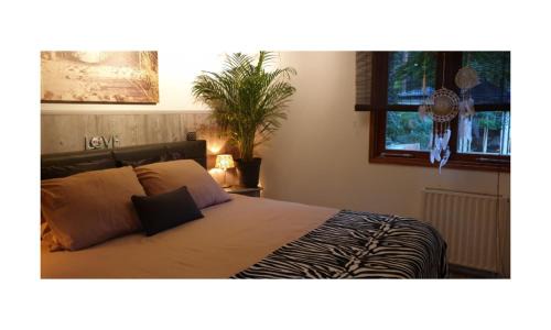 Municipality of Elburg Ski Chalet | Chalet Heppie People