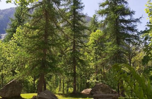 Ailefroide Hotel | Chalet Hotel d Ailefroide