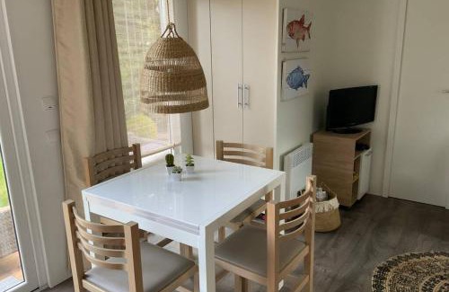 Renesse Ski Chalet | Chalet in Renesse