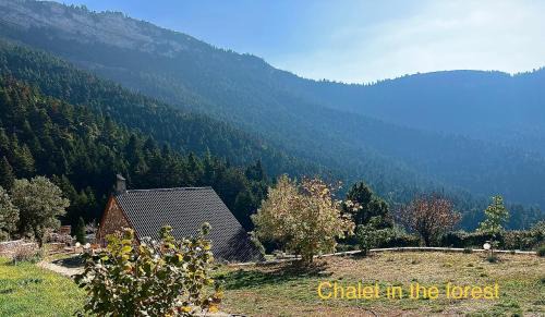 Kalavrita Cabin | Chalet in the Forest